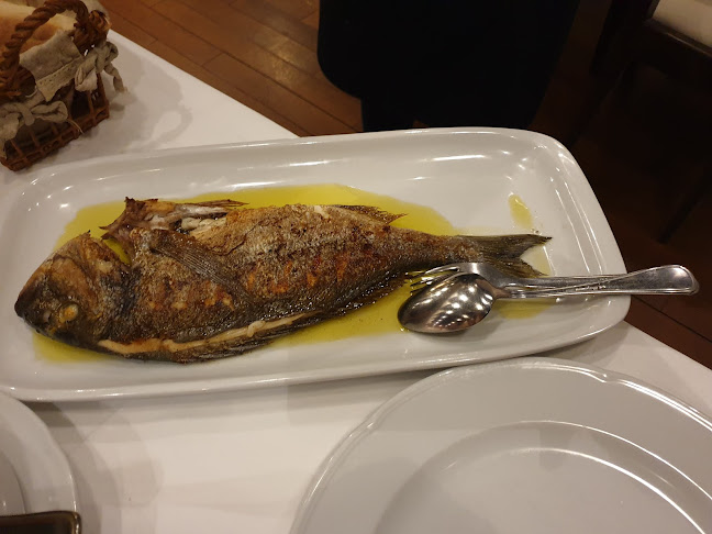 Ul. bana Josipa Jelačića 58, 22000, Šibenik