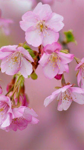 Caffe Bar 92 - Bjelovar