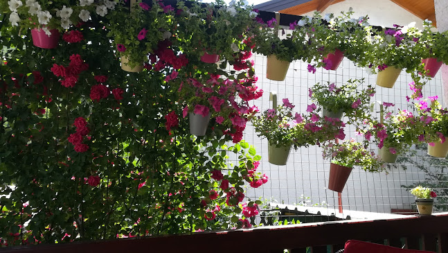 Caffe bar - Podgora Krapinska