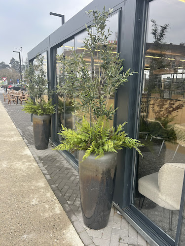 Zrinski trg 10, 48000, Koprivnica