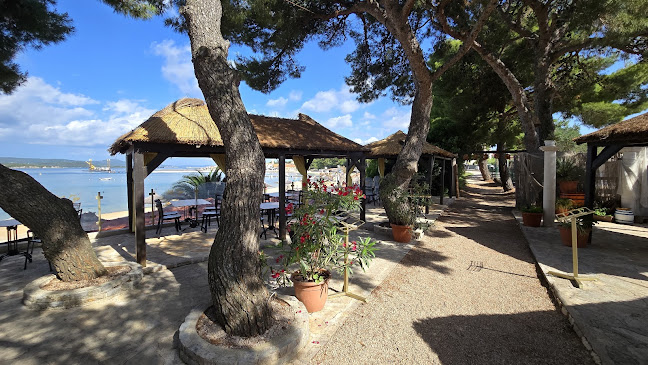 Comentarii opinii despre Čipa