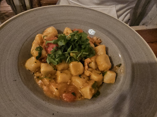 Maslina na Zelenom trgu