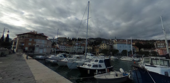 Comentarii opinii despre Plavi podrum