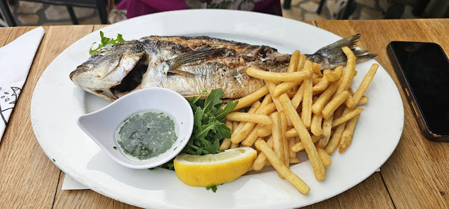 Comentarii opinii despre Fančita