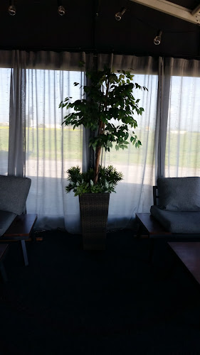 Comentarii opinii despre Rock Art Cafe