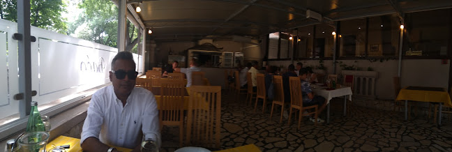 Comentarii opinii despre Baćo