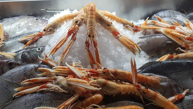 Petrova ul. 176, 10110, Zagreb