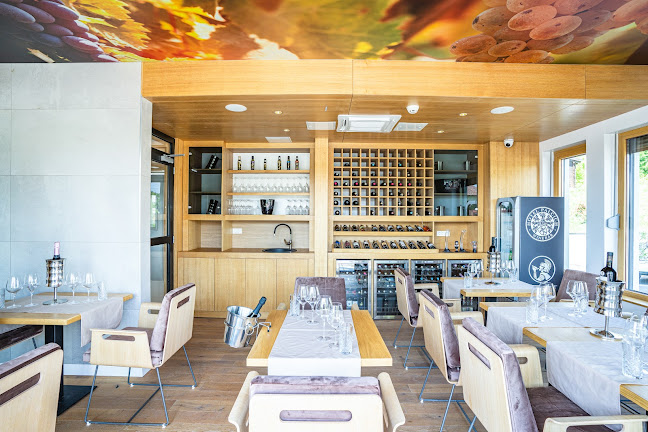 Čatrnja 166A, 47245, Rakovica