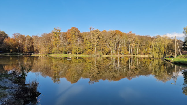 Kavana Bara - Gastronomija i ugostiteljstvo