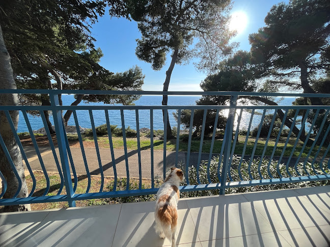 Verudela 11, 52100, Pula