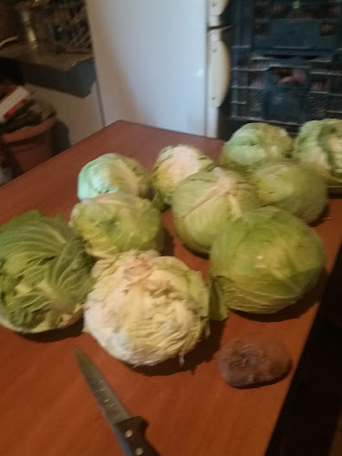 Opinii despre Caffe Bar Trač în Gradac - Gastronomija i ugostiteljstvo