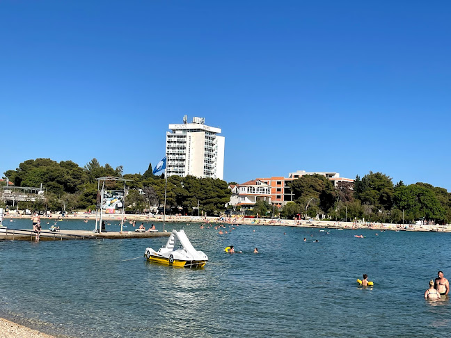 Restoran Plava plaža - Gastronomija i ugostiteljstvo