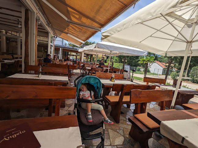 Comentarii opinii despre Angelo