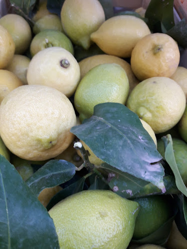 Health store “Mali vrt” - Gastronomija i ugostiteljstvo