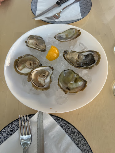 Comentarii opinii despre Barba Ston