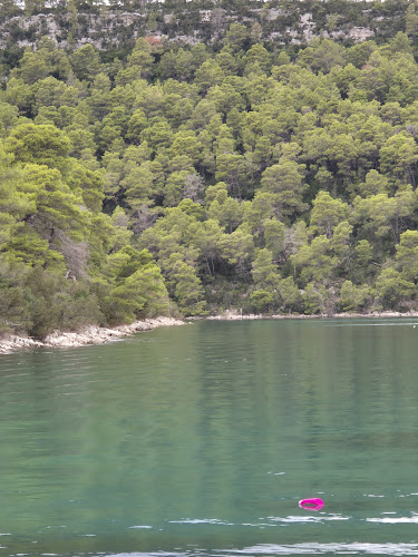 Opinii despre Konoba Gundulište în Polače - Gastronomija i ugostiteljstvo