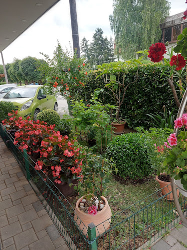 Perkovčeva 89, 10430, Samobor