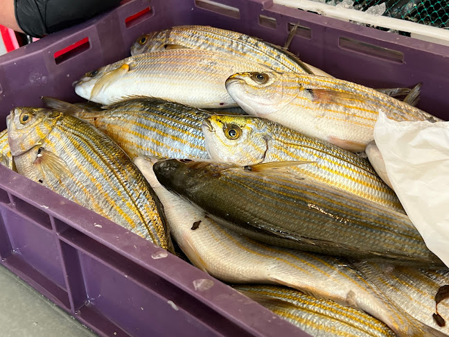 Comentarii opinii despre Ribarnica Pag