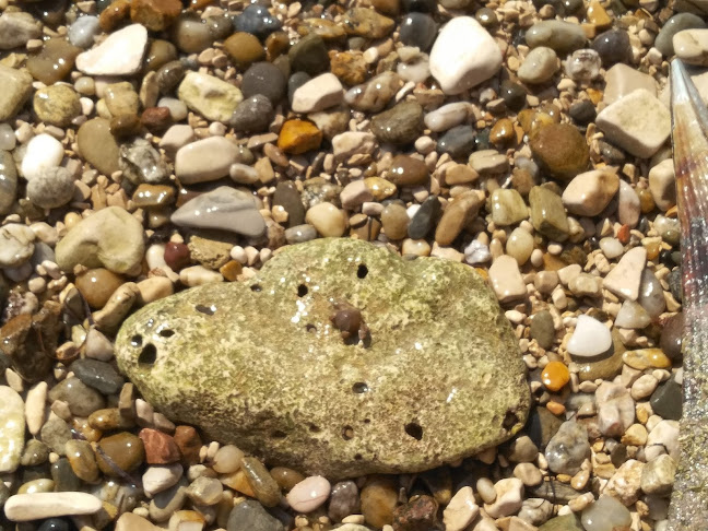 Plaža Karpinjan Lido Bar - Gastronomija i ugostiteljstvo