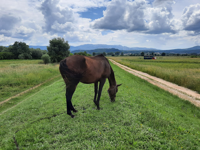 Restoran Premijer Gaz - Gastronomija i ugostiteljstvo