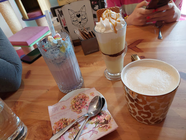 Cat Caffe Zagreb