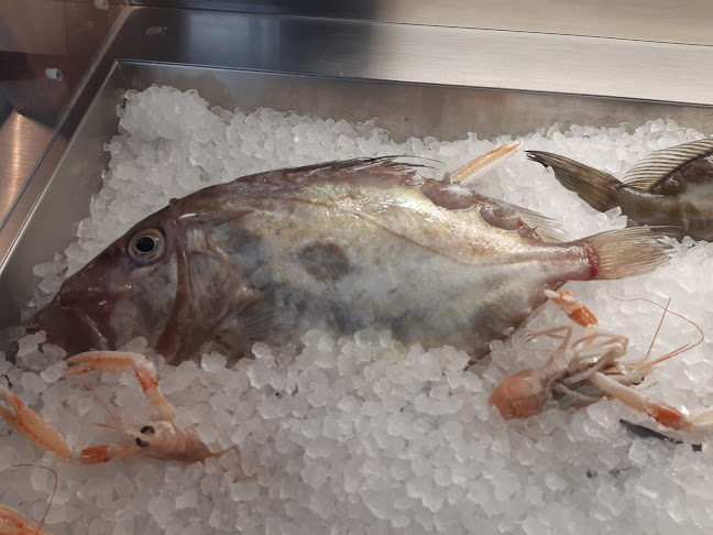 Ul. Ivana pl. Zajca 4, 21000, Split