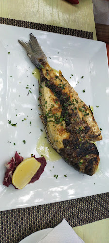 Antika Zaton - Gastronomija i ugostiteljstvo