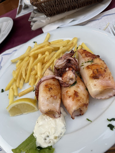 Comentarii opinii despre HARPUN