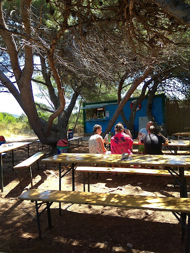 Danica - Veli Žal - Dragove