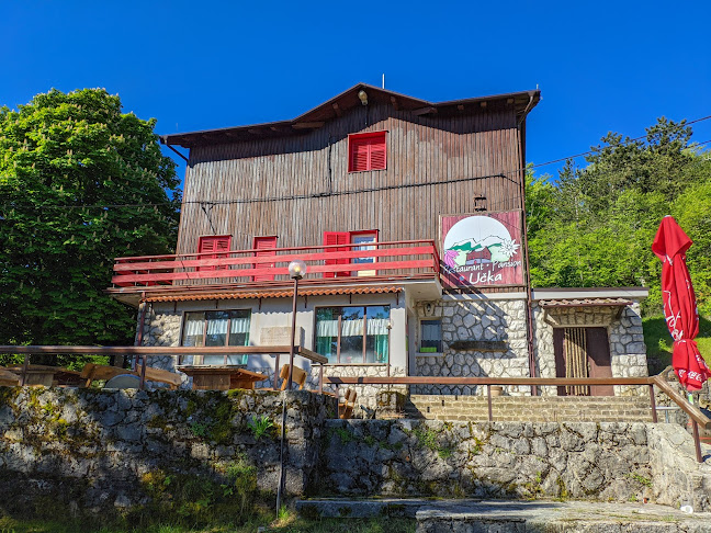 RESTAURANT PANSION UČKA - (Jela od mesa divljači / local food) - Ičići