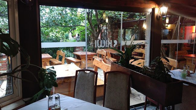 Comentarii opinii despre Kiwi