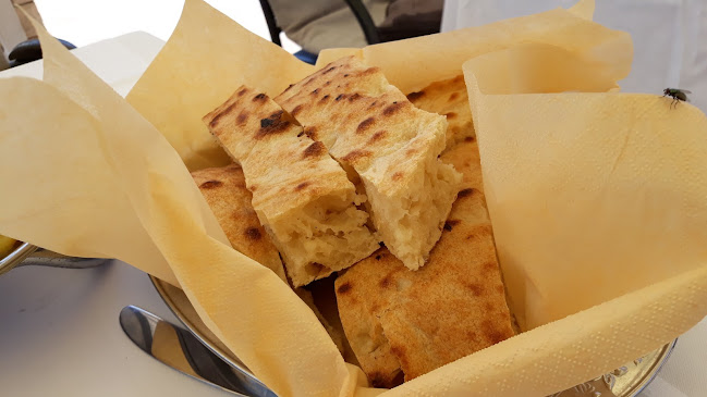 Comentarii opinii despre VICKO