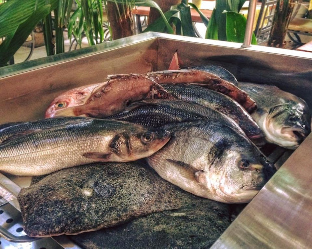 Restaurant Palace Paladini - Gastronomija i ugostiteljstvo