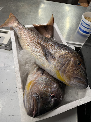 Comentarii opinii despre Restoran Adriatic