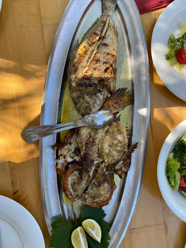 Opinii despre Konoba Krknjaši în Veliki Drvenik - Gastronomija i ugostiteljstvo