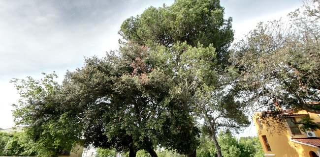 Paduljski put 3, 52100, Pula