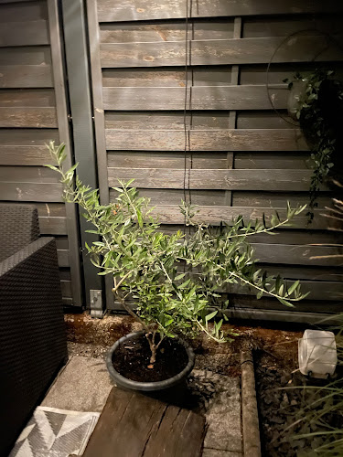 Comentarii opinii despre Pekara Ivani d.o.o.