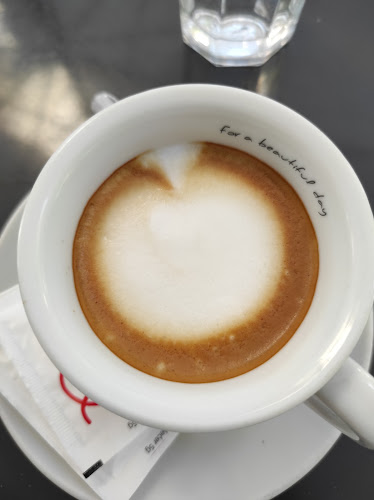 Comentarii opinii despre Prinz