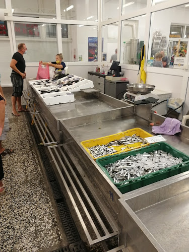 Ribarnica Rab - Palit