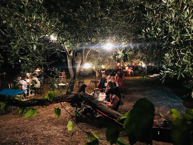 Mediterraneo Secret Garden - Gastronomija i ugostiteljstvo