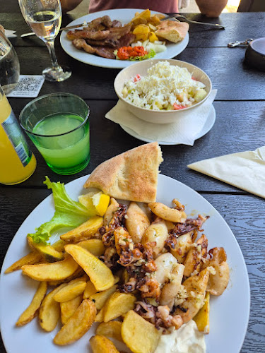 PLANINARSKI DOM KAMENITOVAC