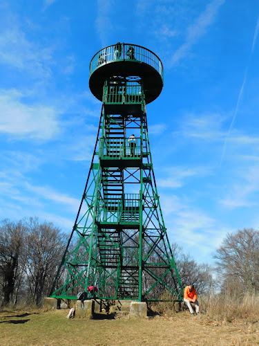 Planinarski dom Žitnica - Gastronomija i ugostiteljstvo