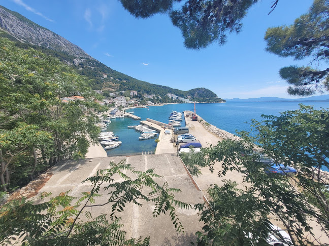 D8, 21329, Živogošće