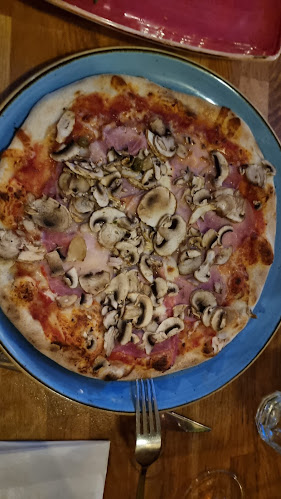 Comentarii opinii despre ORBIS