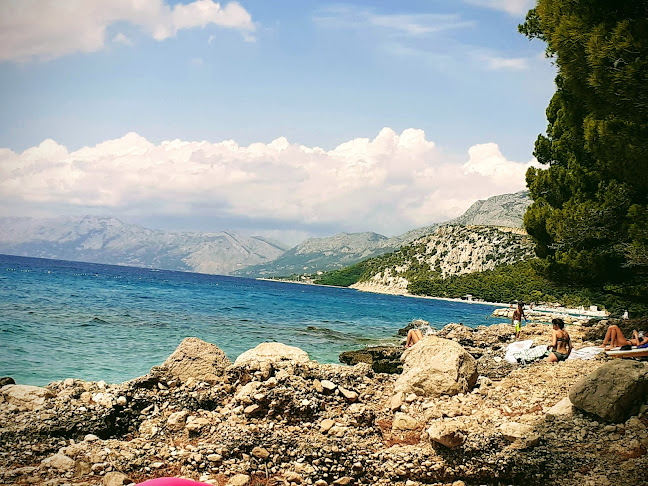 Comentarii opinii despre Makarano Bar