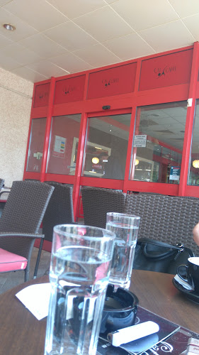 Cat Caffe - Gastronomija i ugostiteljstvo