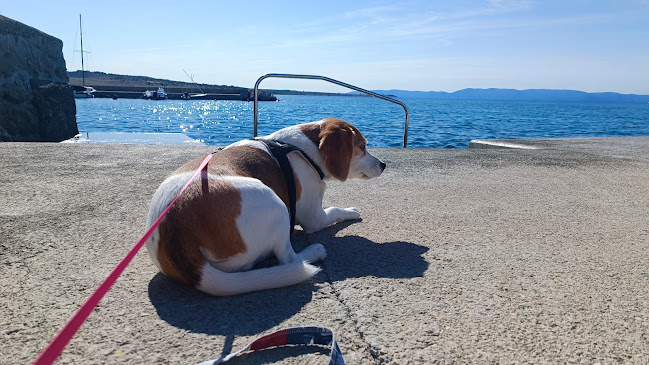 Comentarii opinii despre Restoran Fortuna