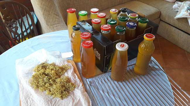 Opinii despre SOS in - Gourmet Klub Kastav în Kastav - Gastronomija i ugostiteljstvo