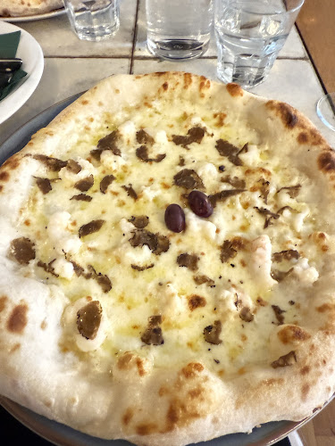 Maslina na Zelenom trgu - Rijeka