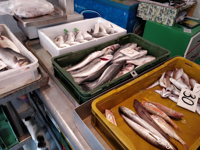 Opinii despre Ribarnica Pag în Pag - Gastronomija i ugostiteljstvo